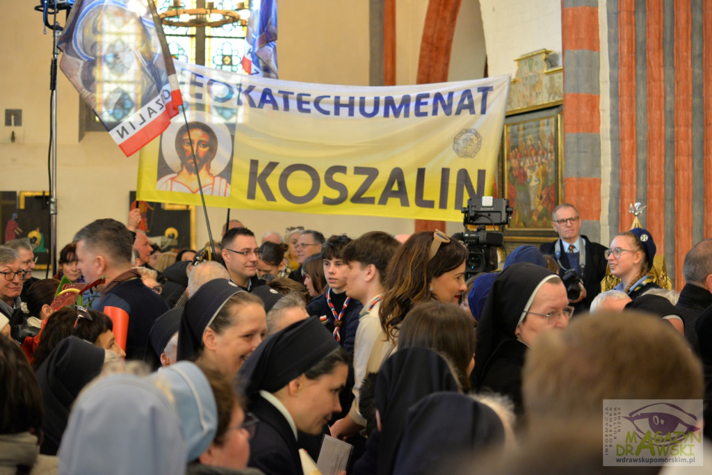 Ingres bp Krzysztofa Zadarki