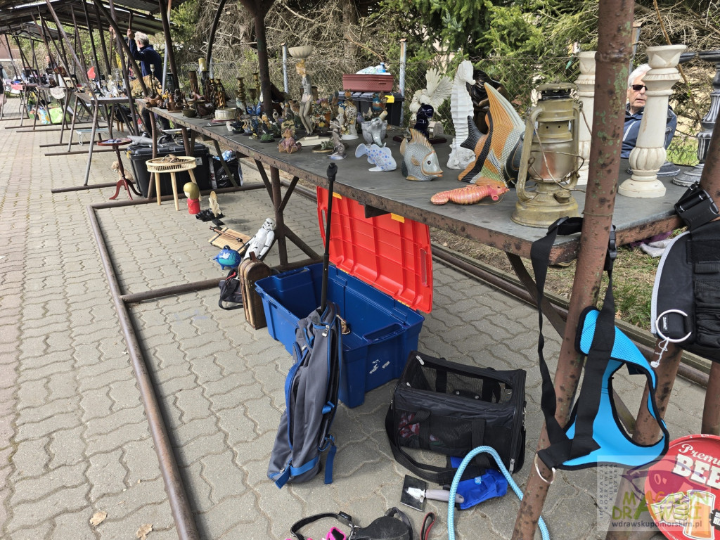 Pchli Targ - sezon 2026 rozpoczęty