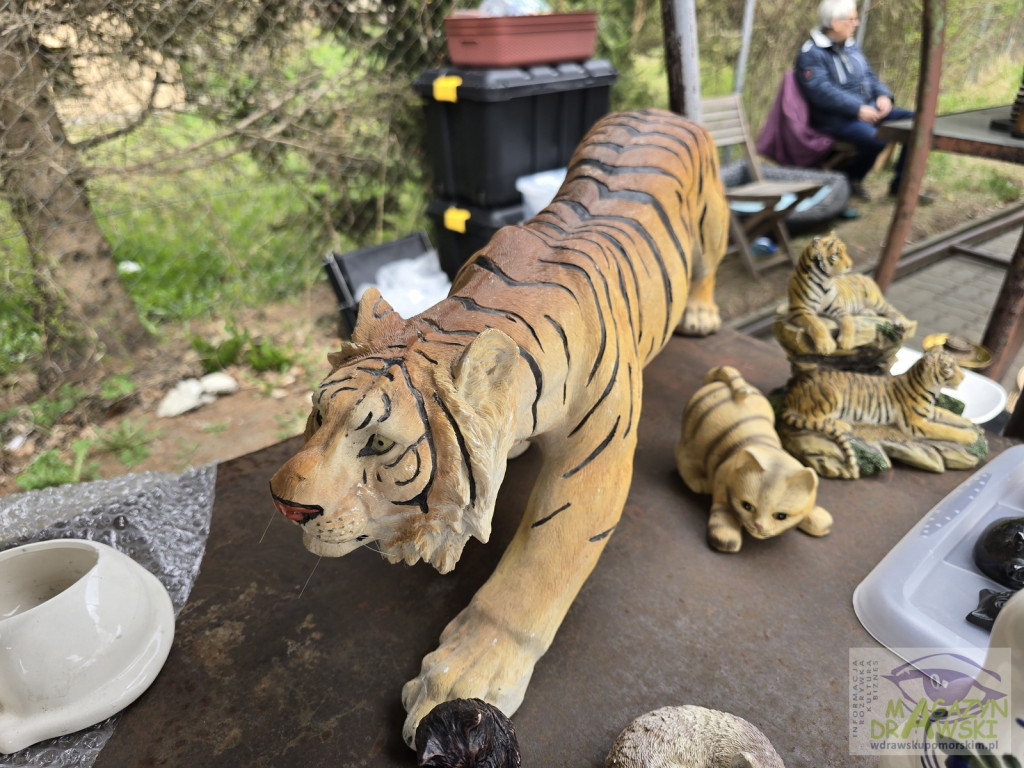 Pchli Targ - sezon 2026 rozpoczęty