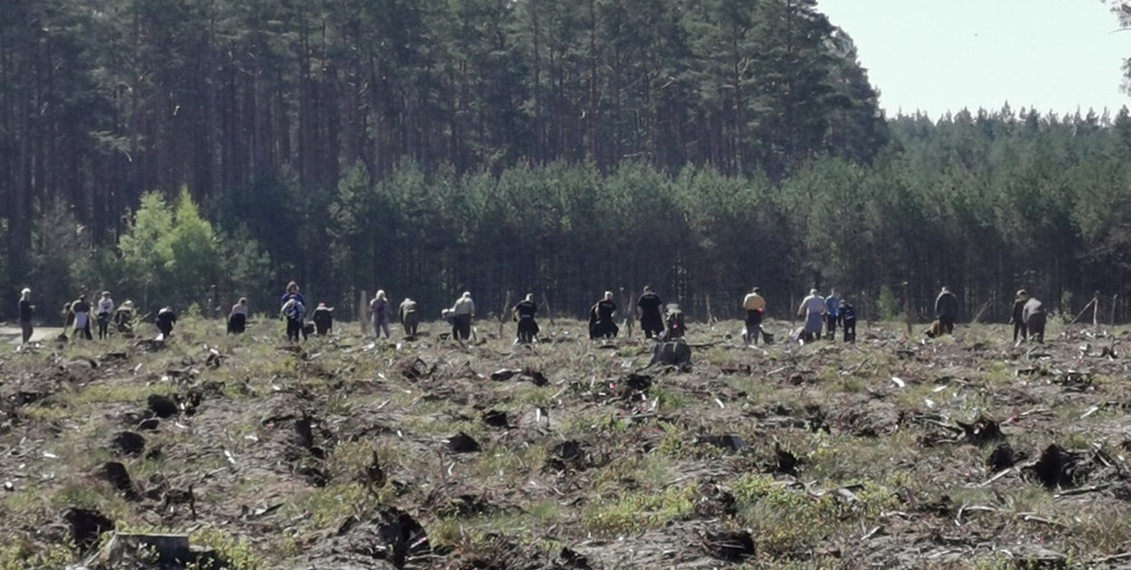 Zdjęcie: Tomasz Jasyk [Magazyn Drawski]