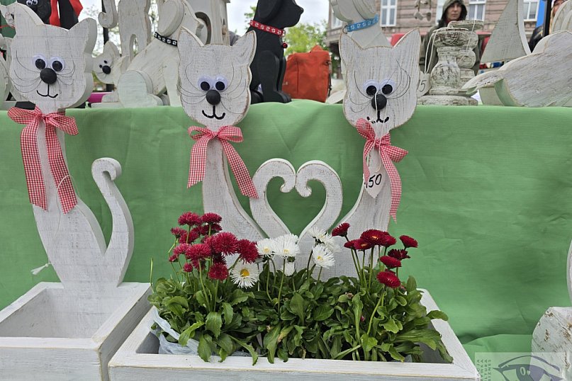 Mój Ogród - 20 lat targów ogrodniczych