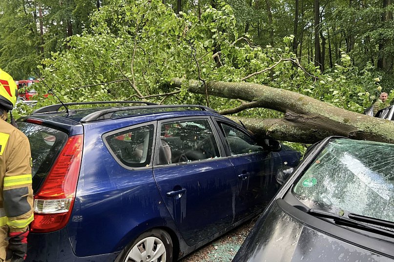 Zniszczone pojazdy pod Złocieńcem