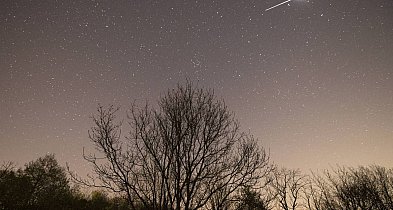 Od połowy kwietnia można obserwować wiosenne roje meteorów, m.in Lirydy-9888