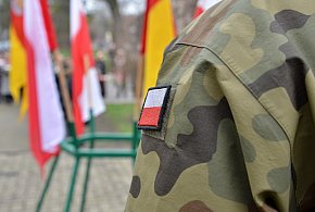 Wojsko zaprasza Polaków. Zacznie się w maju, skończy się w lipcu-10114