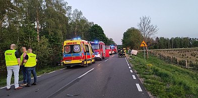 Zachodniopomorskie/ Dwie osoby zginęły w wypadku w okolicy Sławoborza, DW162 zablo-10125