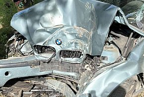 BMW prosto w drzewo-15256