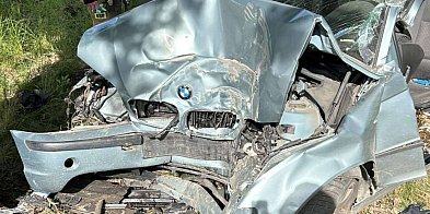 BMW prosto w drzewo-15256