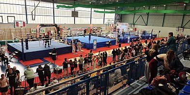 Wicemistrzostwo Polski Polskiego Związku Kickboxingu-15349