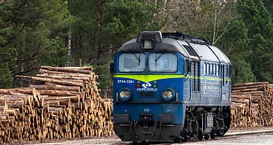 PKP Cargo planuje zwolnienia grupowe; do września 2026 r. pracę może stracić do 24-15584