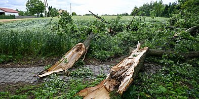 Straż pożarna: w niedzielę 728 zgłoszeń związanych z po-15603