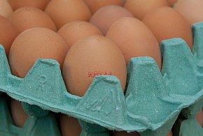 Salmonella na jajach znanej marki. Nie jedz, jeśli masz je w lodówce!-15843