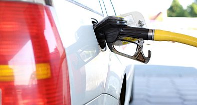 Ceny paliw w Polsce. Benzyna i LPG tanieją, ale diesel nie chce odpuścić-15946