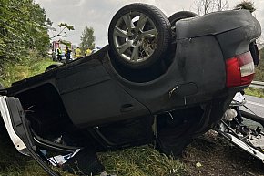 Dachowanie koło Złocieńca-3164