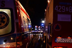 Dwie osoby zakleszczone po uderzeniu pojazdu w drzewo-16968