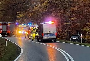 [DK 20] Pojazd wypadł z drogi i wpadł do lasu-17174