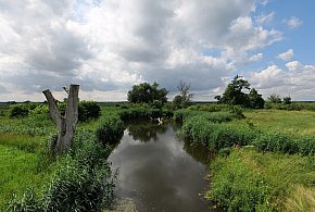 Co dalej z nowym parkiem narodowym? Minister klimatu zdradza plan po wecie-17255