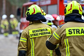 Od piątku w wyniku pożarów zginęło dziewięć osób-17387