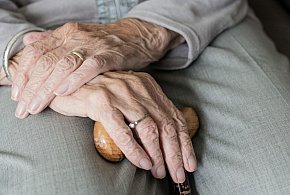 Te osoby dostaną dwie emerytury w grudniu. ZUS przesuwa przelewy-17435