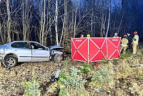 [DW 173] Uderzył w drzewo - nie żyje młody kierowca-17691