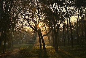 Nadchodzi najkrótszy dzień w 2025 roku. Sprawdź, kiedy przypadnie-17721