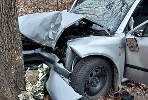 Z 3 promilami prosto w drzewo