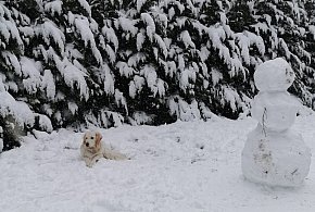 Druga tura ferii zimowych z nieustępującymi ujemnymi temperaturami i mroźną aurą