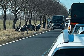 Poważny wypadek na krajowej 10 - 3 osoby poszkodowane