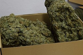 Złocieniec. Ponad kilogram narkotyków u mieszkańca powiatu