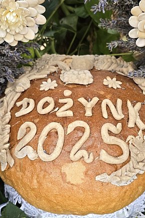 Dożynki 2025-3160
