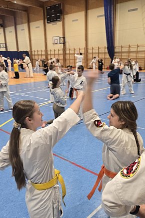 Karat, trening, integracja-3208