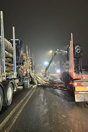 [DK 20] Drewno na drodze-3244