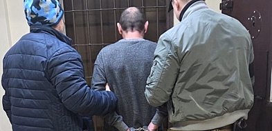 Rok bewzględnego więzienia za zabicie kota