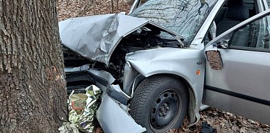 Z 3 promilami prosto w drzewo