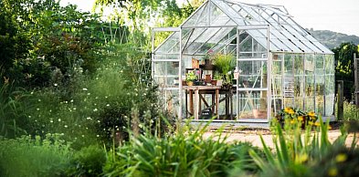 Dlaczego ogród nie musi być drogi, żeby wyglądał dobrze?