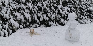 Druga tura ferii zimowych z nieustępującymi ujemnymi temperaturami i mroźną aurą