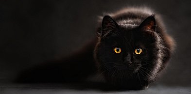 Nawet niewierzący w przesądy  w piątek trzynastego zachowują się inaczej