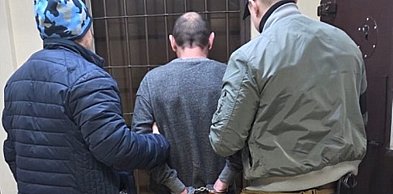 Rok bewzględnego więzienia za zabicie kota