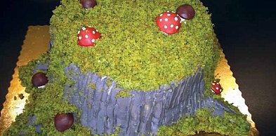 Tort „Drawskie lasy”