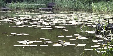 21 czerwca to pierwszy dzień lata, ale był taki rok, w którym lato nie nadeszło