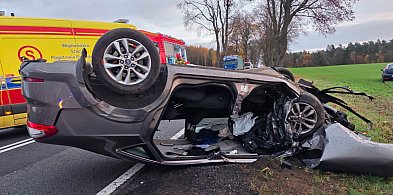 Karambol koło Wałcza a na dziesiątce ciężarówka zderzyła się z żubrem-17183