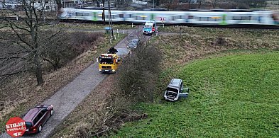 Zabił psa i jego właściciela - był pijany-17754