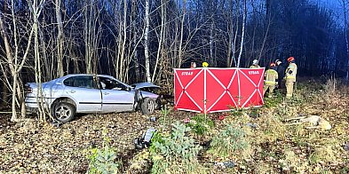 Uderzył w drzewo - nie żyje młody kierowca-17691