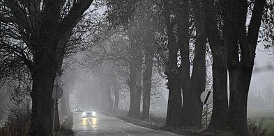 GDDKiA: wszystkie drogi krajowe są przejezdne, mgła w 1-17741