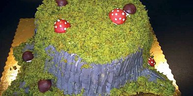 Tort „Drawskie lasy”