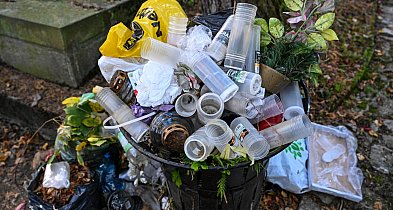 Cmentarze po Wszystkich Świętych toną w śmieciach. „Świadomość ekologiczna wciąż z-17160