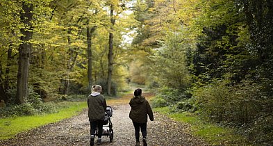 Niektóre nawyki spowalniają starzenie mózgu nawet o osiem lat-17703