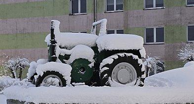 Zima stulecia w Polsce przydarzyła się nieraz – czasami wystarczyło zaledwie kilka-18034
