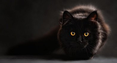 Nawet niewierzący w przesądy  w piątek trzynastego zachowują się inaczej