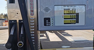 Ekspert: ceny paliw wzrosną, ale mało prawdopodobne, by benzyna kosztowała po 8–9