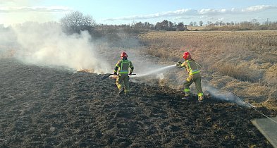 Biolog: w Polsce wypalanie traw jest przyrodniczo destrukcyjne i oparte na mitach